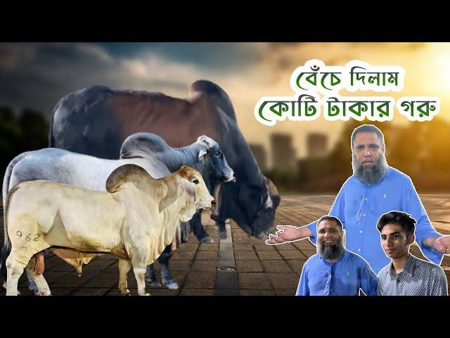 কোটি টা*কা*র বংশমর্যাদাপুর্ন ভাইরাল ব্রাহমান গরু বি*ক্রি হয়ে গেলো  | Sadeeq Agro Brahman 2024 |