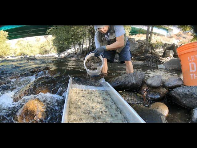 Under the Bridge - Gold Prospecting in Kern River (Ep. 22)