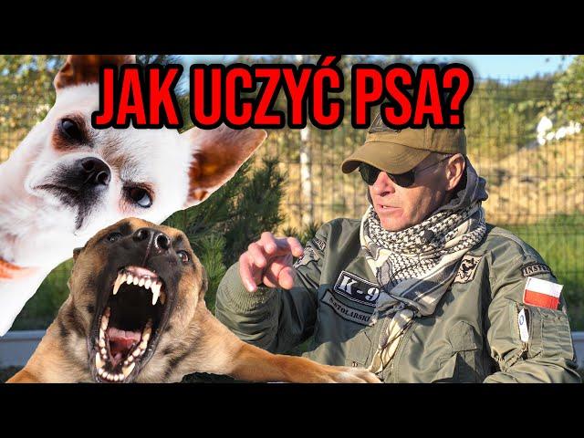 JAK ODUCZYĆ PSA AGRESJI ?!