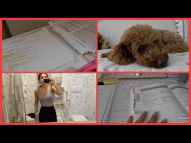 Gli esami non finiscono mai! StudyVlog