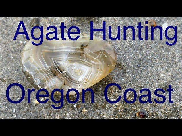 Agate Hunting on the Oregon Coast