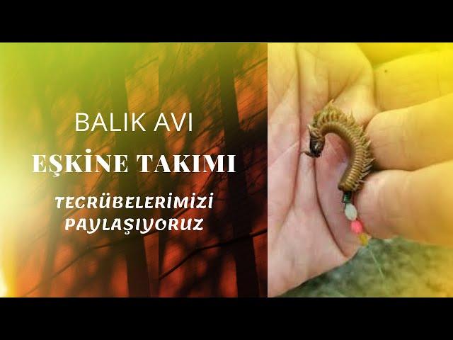 ÖZEL YEMLİ DİP TAKIMI HAZIRLAMA . Eşkina Mırmır Levrek Avı Teknikleri