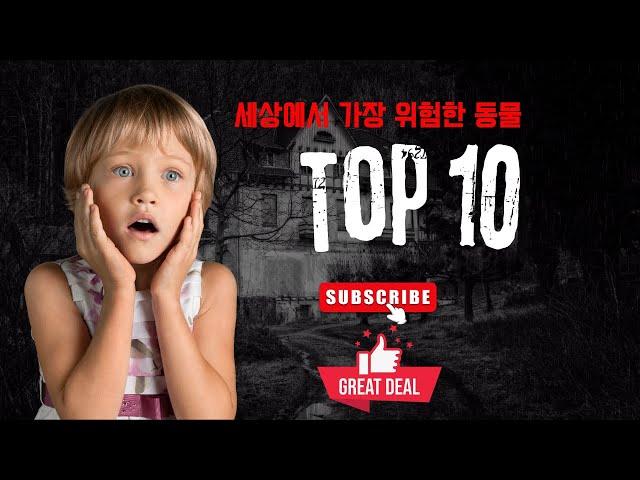 세상에서 가장 위험한 동물 순위 top 10