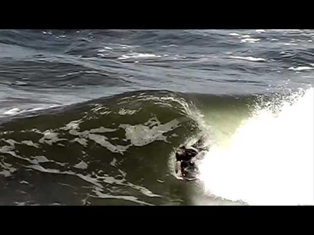 Bodyboard Damian King 2011