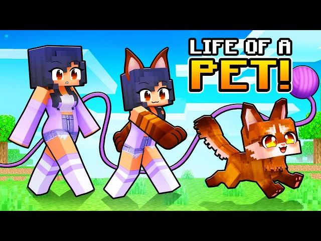 Having a PET LIFE in Minecraft!