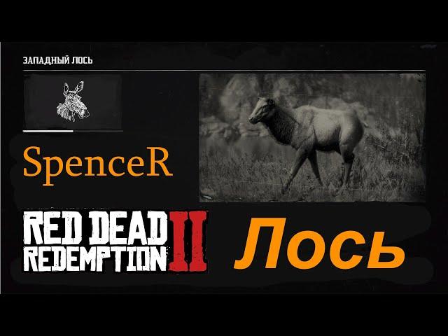 Превосходная Шкура Лося. Red Dead Redemption 2.