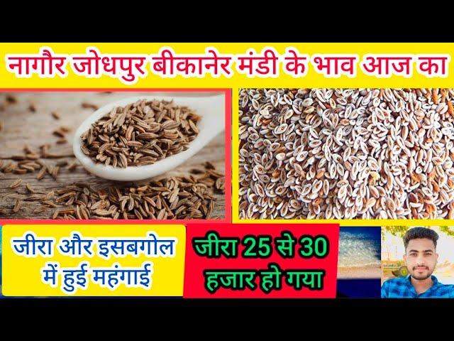 नागौर जोधपुर बीकानेर मंडी के भाव जीरा और इसबगोल का || Jodhpur Bikaner Nagaur Mandi Bhav 2024