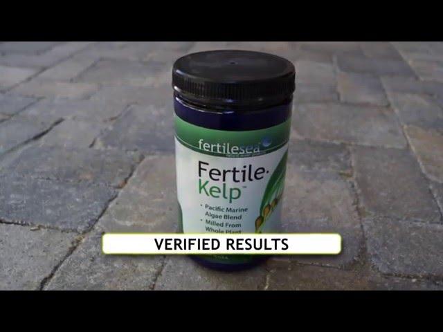 Fertile Kelp - Eco-Friendly Plant Boosters