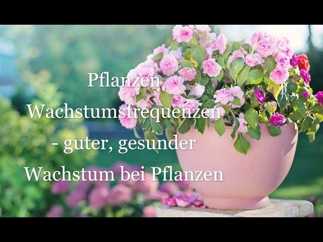 Pflanzen–Wachstum–Frequenz / Vollmond Frequenz 210.42 Hz /schneller gesunder Wachstum Ihrer Pflanzen