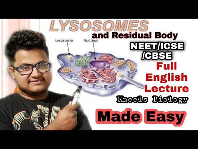 Lysosome and Residual Bodies || Structure and function || KNeel's Biology