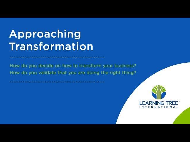 How to Approach a Digital Transformation Initiative