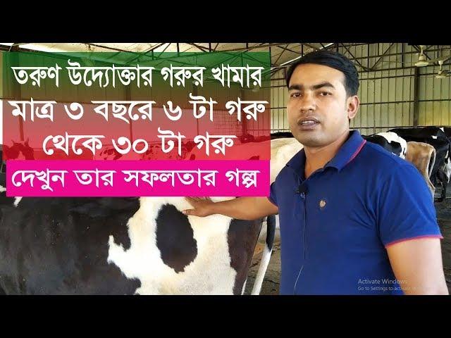 তরুণ উদ্যোক্তাদের গরুর খামার I Cow farm in bangladesh I How To Start Dairy Farm Business
