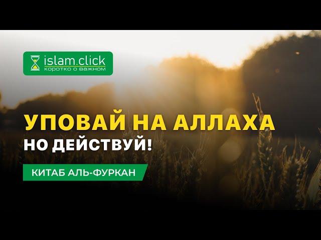 Уповай на Аллаха, но действуй | Шейх Абу Яхья