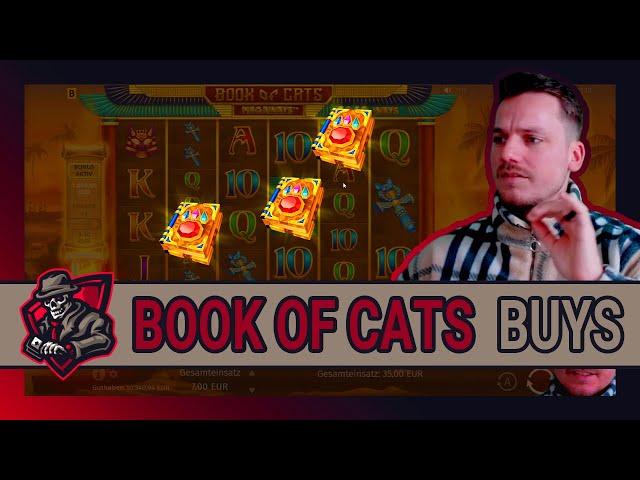 BOOK OF CATS CRAZY FREES  | WILDE SAUSE, WILDE REISE  | Freegame High Stake  | Casino Highlight