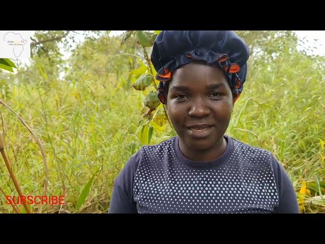 HARVESTING A VERY UNIQUE FRUIT WHICH ACTS AS A DEWORMER//mind your health #africa