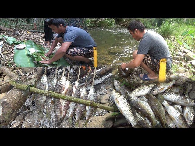 Hunting and Fishing In The Mountains | Catch & Cook | Yos hav zoov hav dej noj ntses toj siab