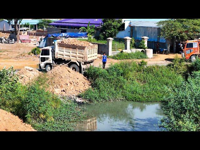 Impressive work! bulldozer and dump trucks filling land over water with pretty skills technique