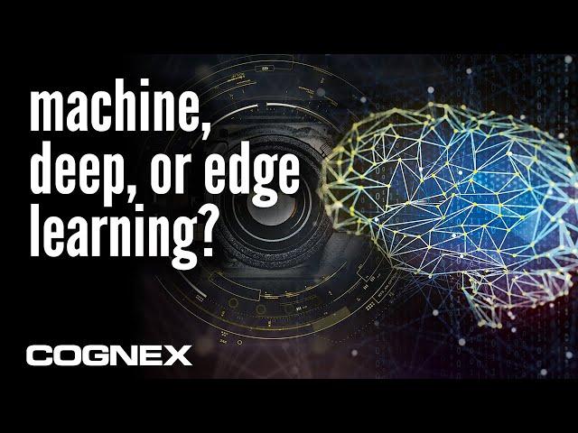 Machine, Deep, or Edge Learning? What’s the difference? | Cognex AI for Factory Automation