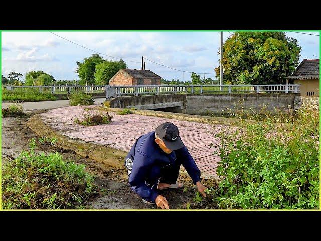 Revamping Canal Walkway with Basic Tools: A Complete Transformation in 24 Hours