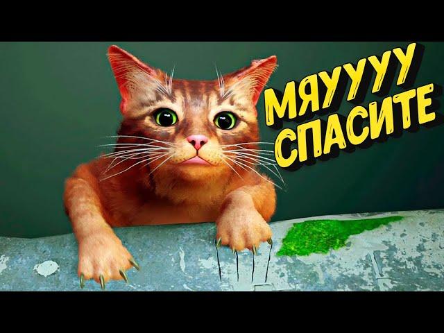 Реакция на Падение Кота в Игре Stray