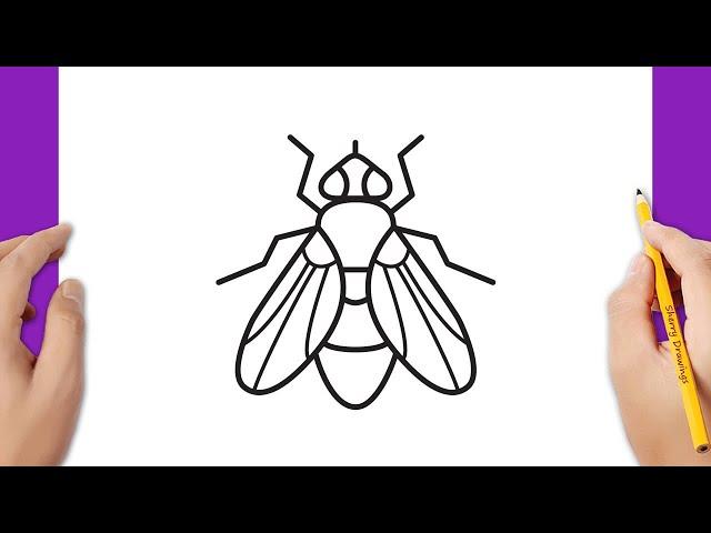 How to draw a fly easy