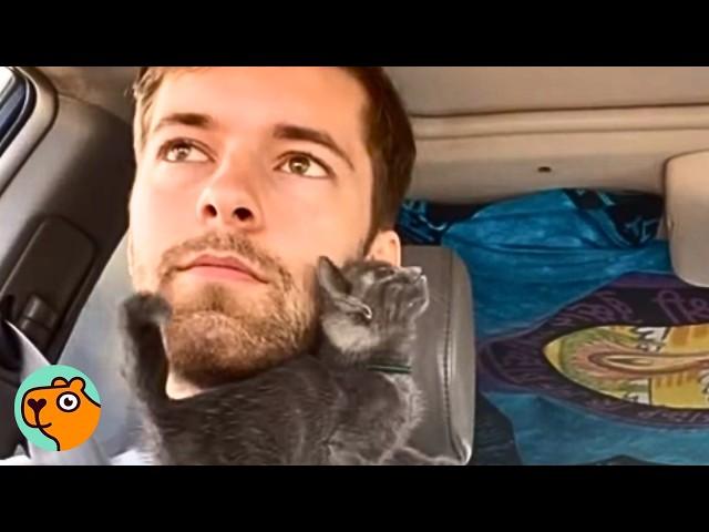 Guy Spots Tiny Kitten In The Middle Of The Desert And Has To Help | Cuddle Buddies