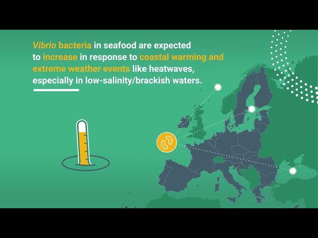 Climate change and Vibrio bacteria in seafood