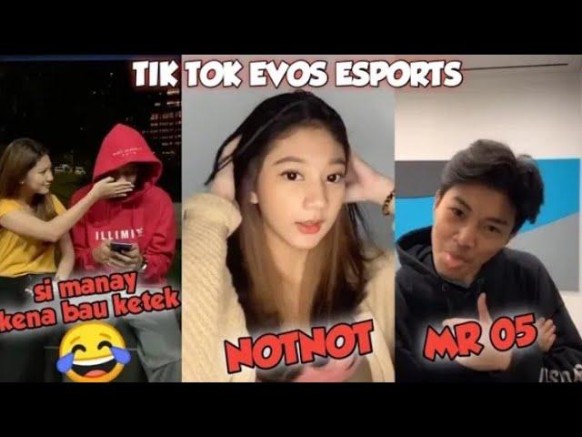 KULPULAN TIK TOK EVOS ESPORTS - MANAY MR05 NOTNOT #1