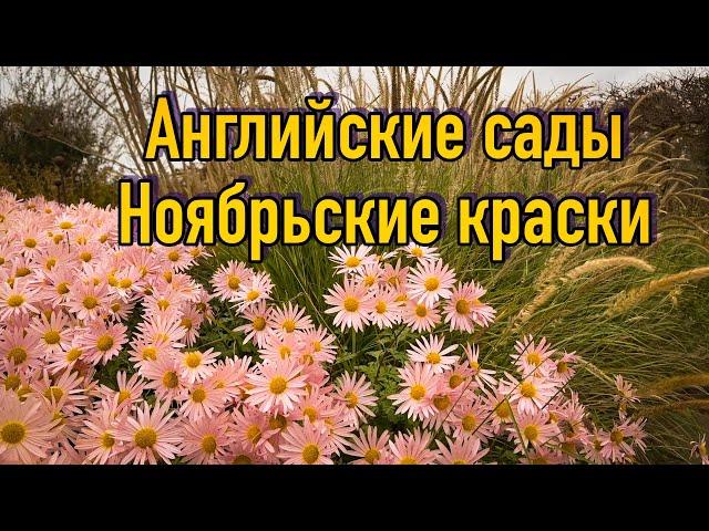 Vlog 518 - Wisley в ноябре, что сажают, что строят и чем любуются….Изумительные комбинации растений