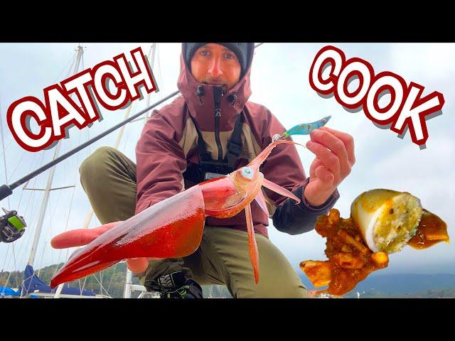 European Squid Catch & Cook! Eging shore fishing and a delicious Italian recipe [Calamari Ripieni]