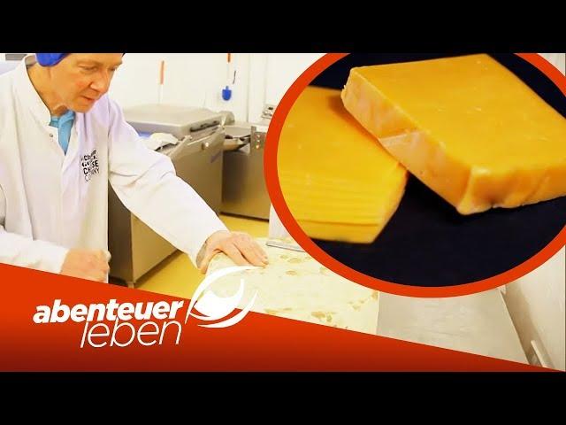 Cheddar Käse im Trend: Was macht ihn so besonders? | Abenteuer Leben | Kabel Eins