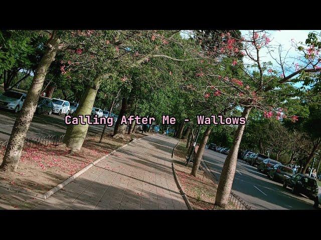 Calling After Me - Wallows (lyrics / letra - sub. español)