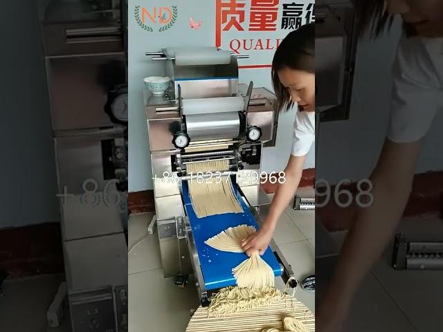 industrial chow mein wheat noodle making machine flat hakka noodles making machine