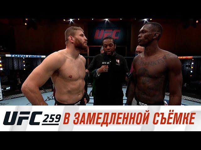 UFC 259: В замедленной съемке