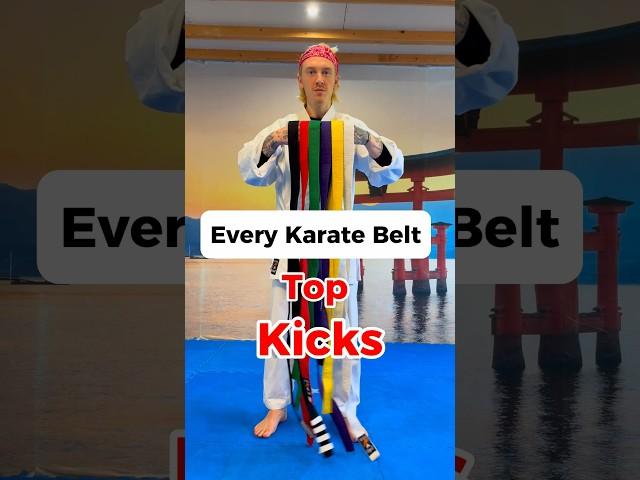 Karate Top Kicks#shorts