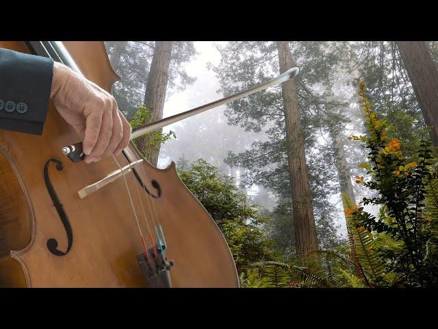 Relaxing Music to Smile  Beautiful Cello and Piano Instrumental