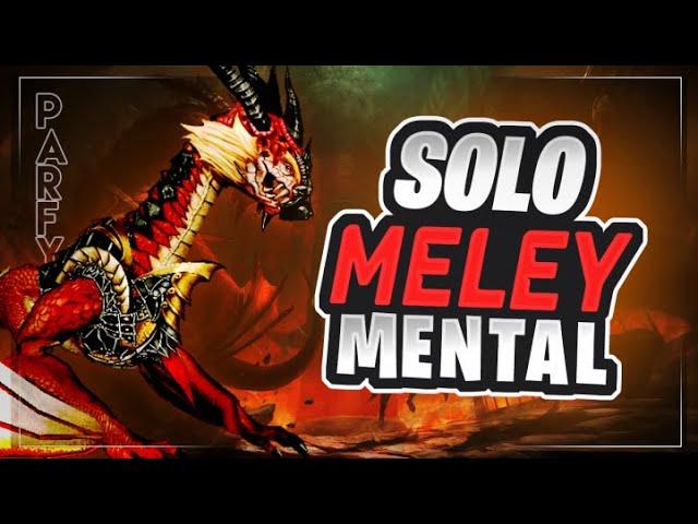 MENTAL-SOLO MELEY #Metin2TigerGhost