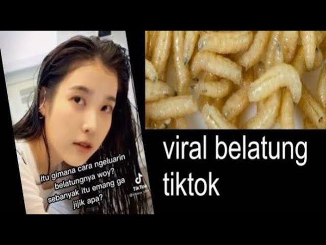 Adegan dewasa belatung viral??? hebohkan,TIKTOK, Twitter!! warga net sangat jijik