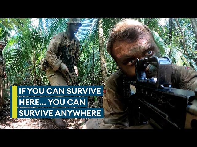 Welcome to the jungle: The British Army's brutal Belize jungle training