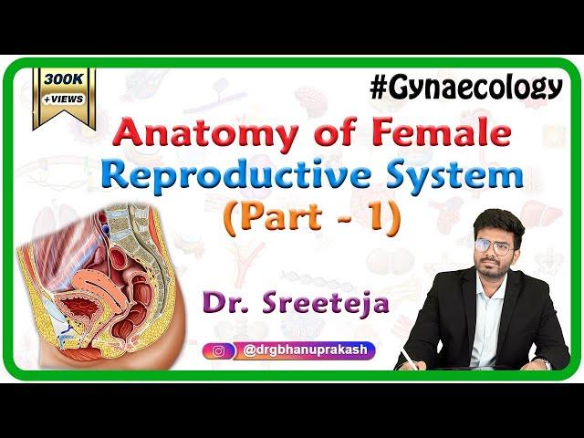 Anatomy of Female reproductive system Part 1-External Female Genitalia / Vagina - OBG Lectures FMGE