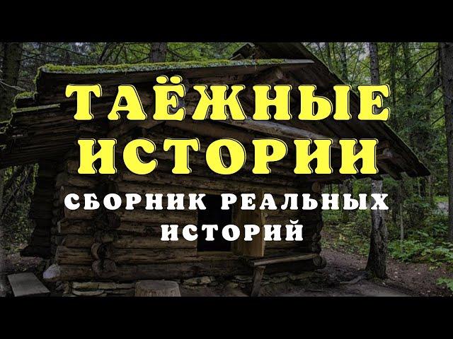 Необъяснимое в тайге/ Истории таёжных охотников/Охотничьи байки/Страшные истории