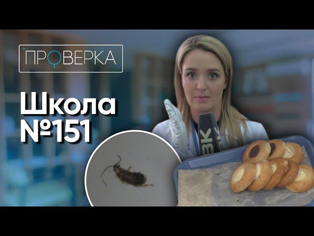 Красноярская школа №151 \ «Проверка» ТВК