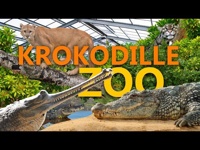 Krokodil Zoo Falster - ALLE Krokodil-Arten & mehr! | Zoo-Eindruck