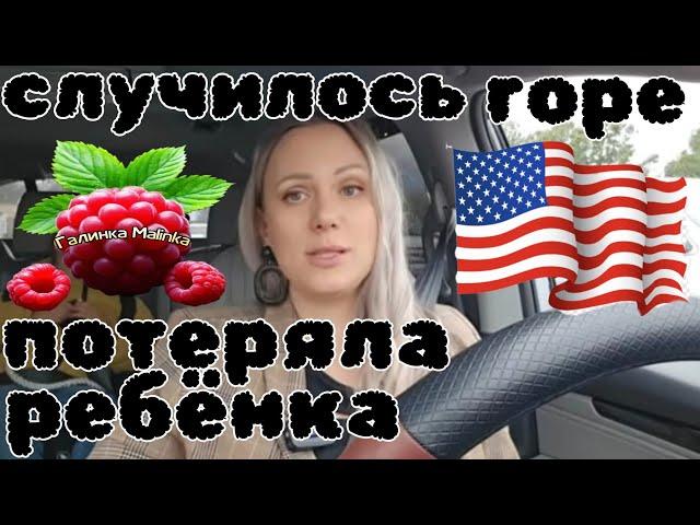 Лиса в Америке /Случилось горе /Потеряла ребёнка /Обзор /Funny 4 /Big Big Family /Жизнь в США