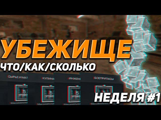 УБЕЖИЩЕ В STALCRAFT X: КАК КАЧАТЬ ДО 5 ЛВЛ/СТОИМОСТЬ/КРАФТЫ