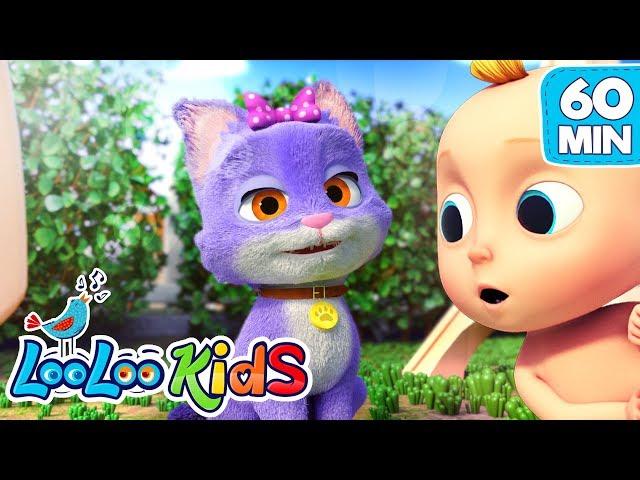 Pussy Cat, Pussy Cat  The BEST SONGS for Kids | LooLoo Kids