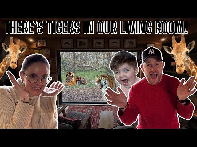 WOW! WHAT A DREAM COME TRUE! WE STAY IN THE FAMOUS ONCE IN A LIFE TIME TIGER LODGE AT PORT LYMPNE!