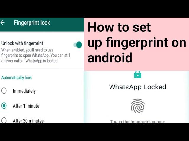 How to set up fingerprint on android