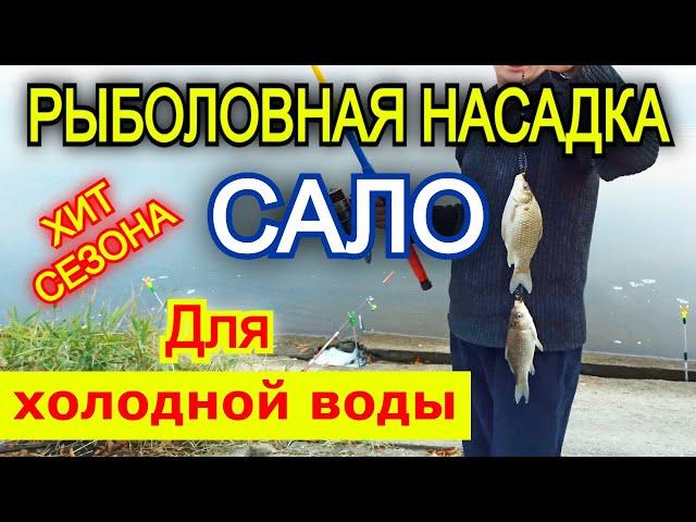 Хит Сезона! На это лови весь октябрь всю рыбу Сало для рыбалки о котором ты не знаешь!