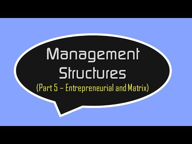 Entrepreneurial and Matrix Management Structures - Higher Business Management